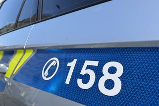 Policie na Lounsku vyšetřuje týrání psa. Vyhublé zvíře mělo svázané nohy a pásku přes čumák - Novinky